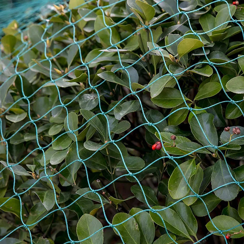   Heavy Anti-Bird Netting – Durable Garden and Crop Protection   