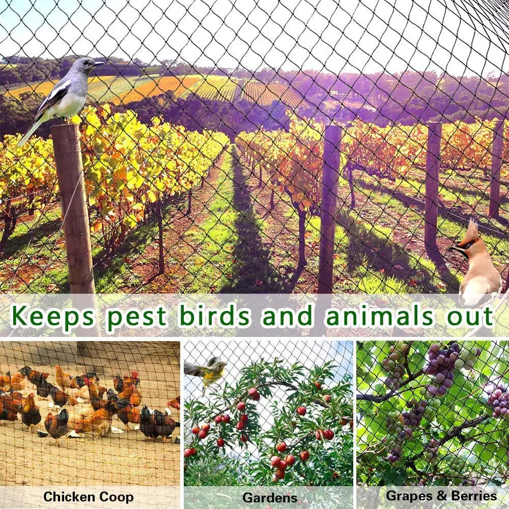   Heavy Anti-Bird Netting – Durable Garden and Crop Protection   