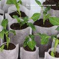   Biodegradable Nonwoven Fabric Nursery Planter Bags   