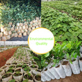   Biodegradable Nonwoven Fabric Nursery Planter Bags   