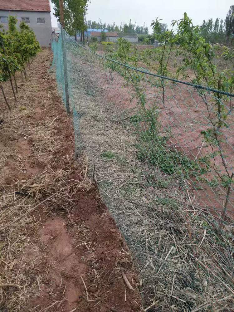   Heavy Anti-Bird Netting – Durable Garden and Crop Protection   