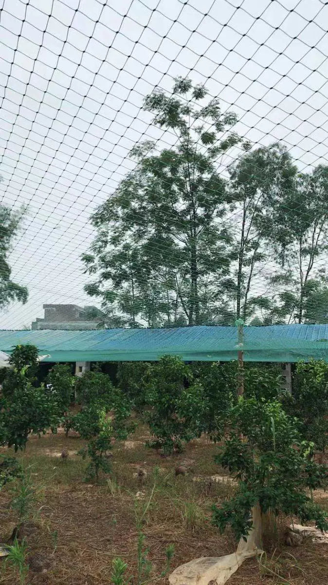  Heavy Anti Bird Netting Net Garden Fence and Crops Protective Fencing Mesh Anti Bird Deer Cat Dog Chicken Net  Fishing Net #