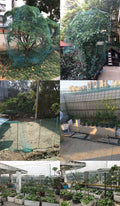   Heavy Anti-Bird Netting – Durable Garden and Crop Protection   