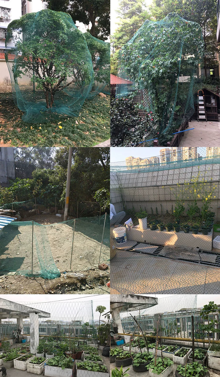   Heavy Anti-Bird Netting – Durable Garden and Crop Protection   