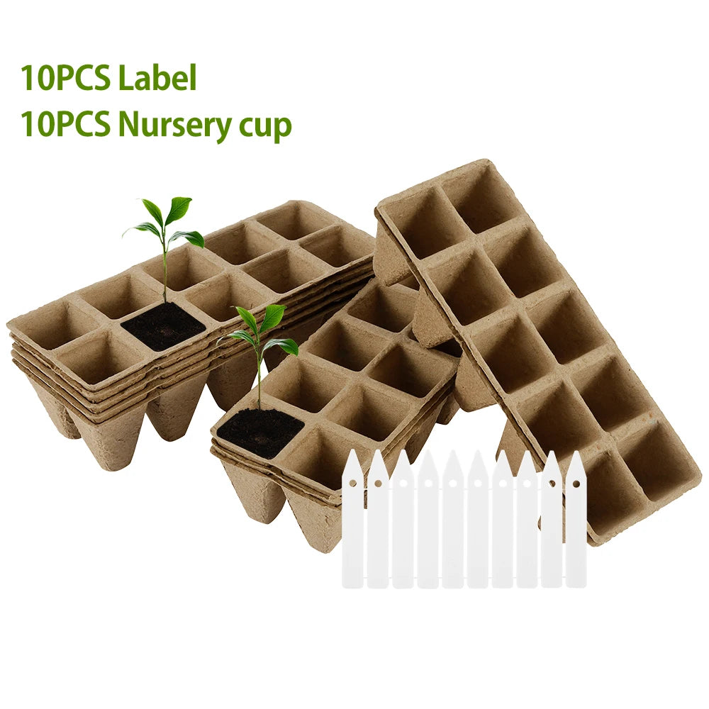   Biodegradable Seedling Trays with Tools - 12 Hole Starter Kit   