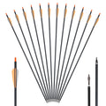   High Precision Carbon Arrows for Hunting and Target Practice   