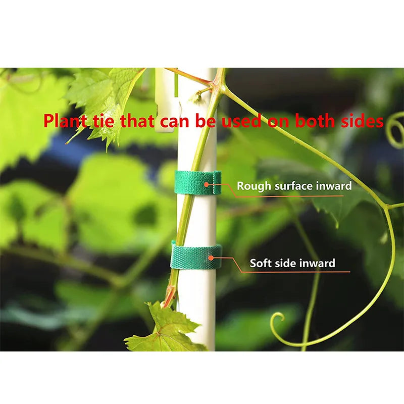 3 Rolls Green Garden Twine Plant Ties Nylon Plant Bandage Garden Hook Loop Bamboo Cane Wrap Support Garden Accessories #