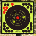   Splatterburst Targets 8-Inch Adhesive Shooting Target   