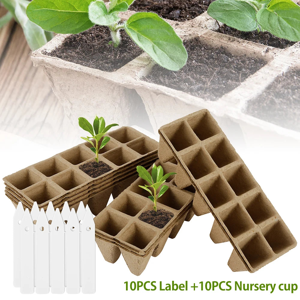   Biodegradable Seedling Trays with Tools - 12 Hole Starter Kit   