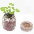   20PCS Grow Seedlings Mud Compress Nutrition Soil Blocks   