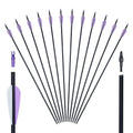   High Precision Carbon Arrows for Hunting and Target Practice   