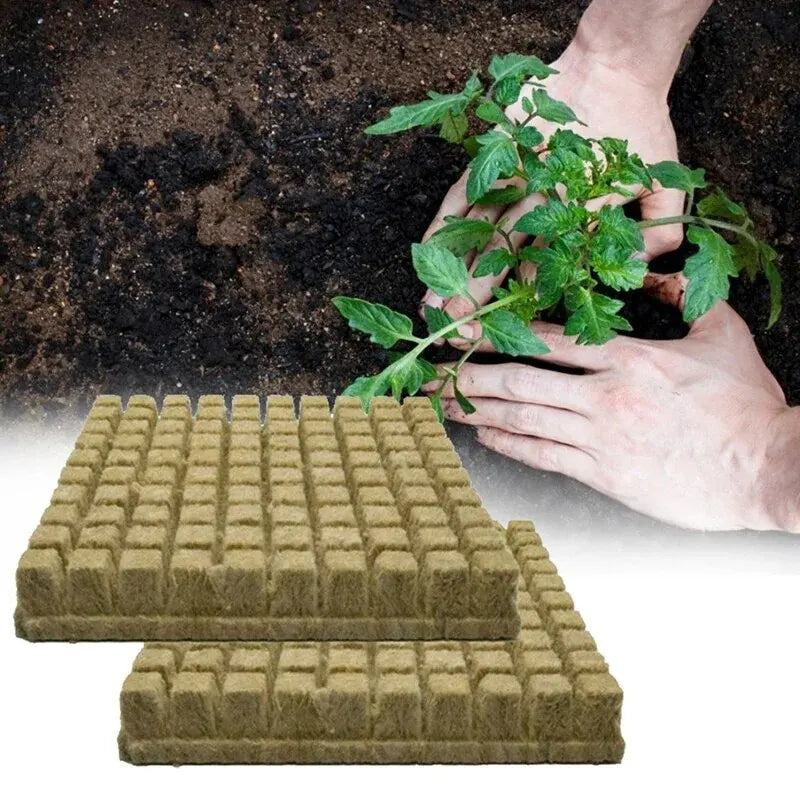   Plant Starter Grow Plug Cubes - 50-Pack for Seed Germination   