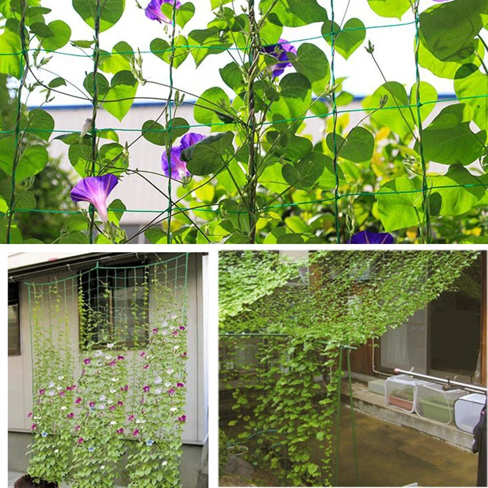   Heavy-Duty Garden Plant Trellis Netting - Support for Climbing Plants   