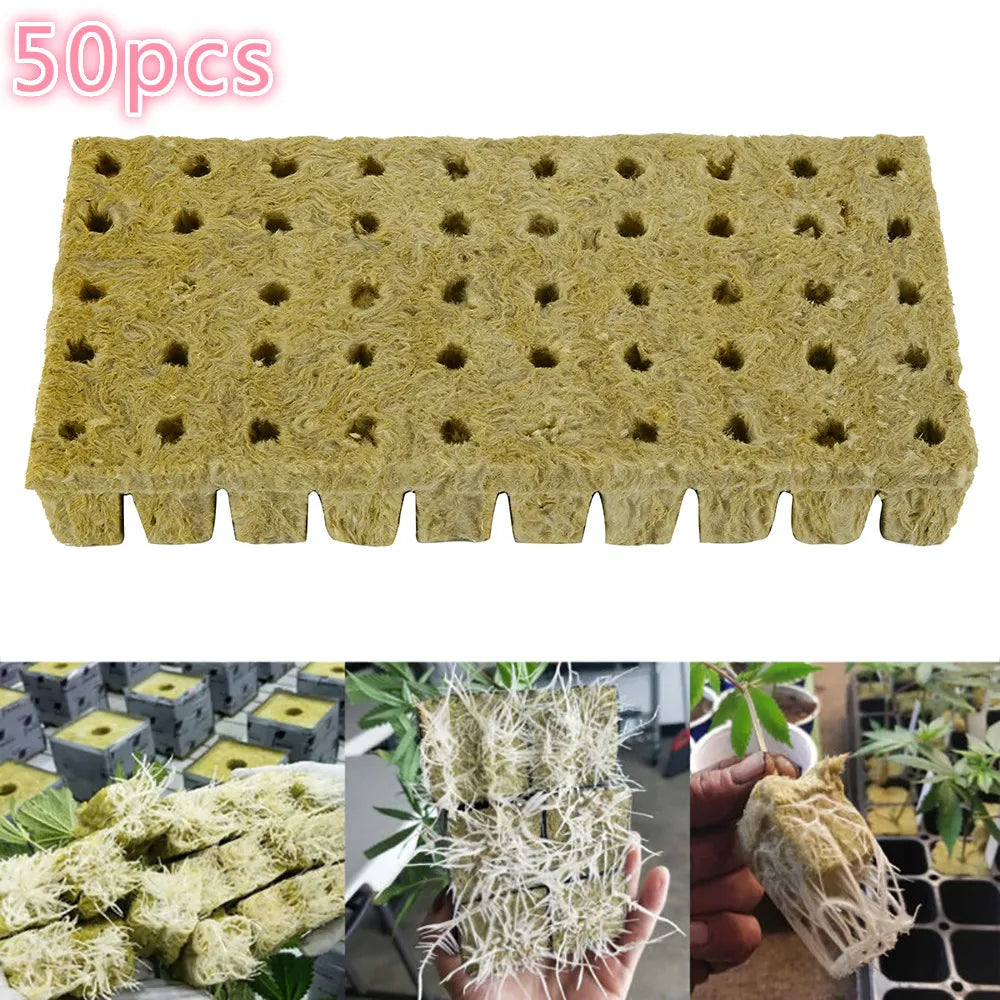  50pcs  Plant Starter Grow Plug Cubes Base Practical Cubes for Garden Greenhouse Orchard Sun Room Hydroponic Applications #